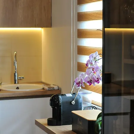 Apartment Moderan Dvosoban Stan Budva